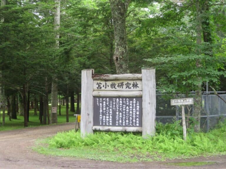 『スピナマラダ！』が面白かったので、聖地苫小牧を見学してきました